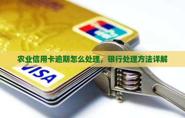 农业信用卡逾期处理方法详解