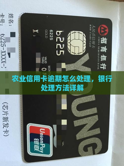 农业信用卡逾期处理方法详解