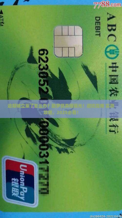 助梦贷逾期被立案后如何处理