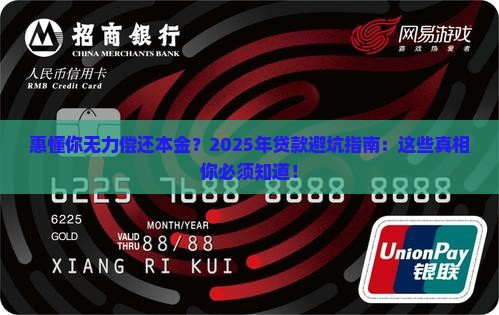 惠懂你无力偿还本金