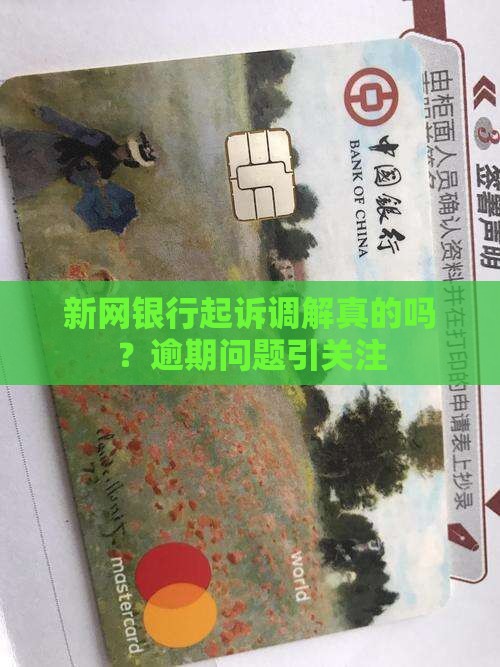 新网银行起诉调解是真的吗