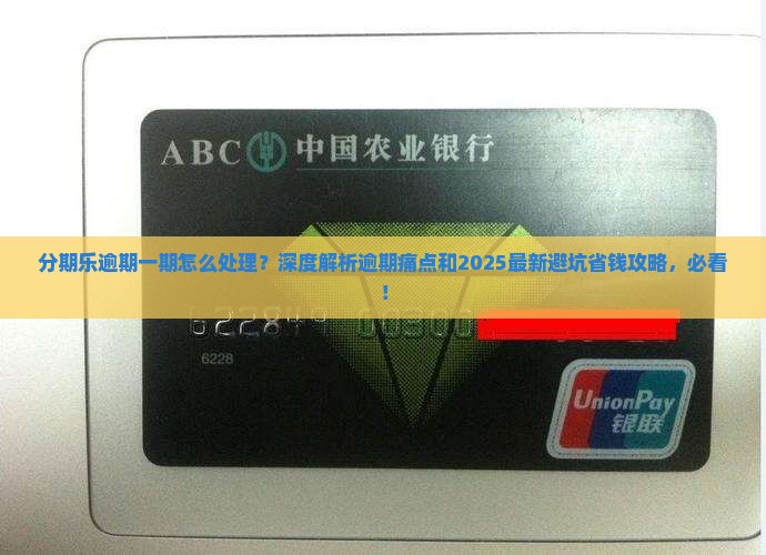 分期乐逾期一期怎么处理