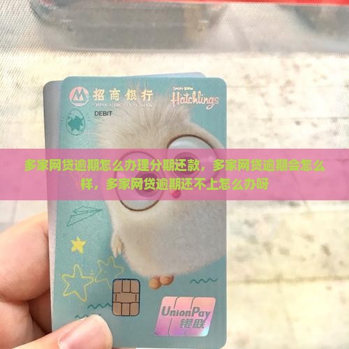 多家网贷逾期怎么办理分期还款