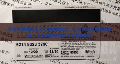 多家网贷逾期怎么办理分期还款