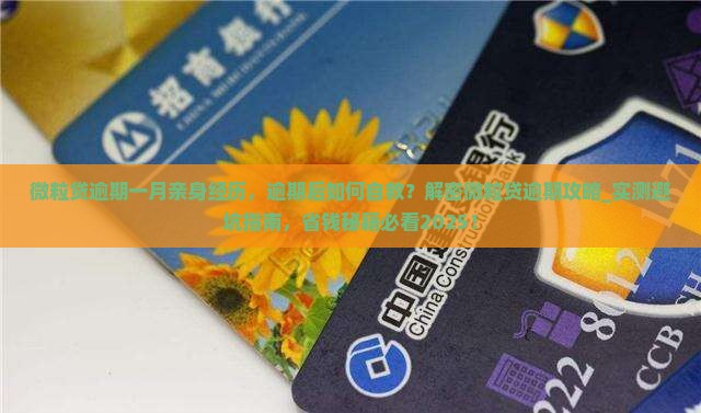 微粒贷逾期一月亲身经历