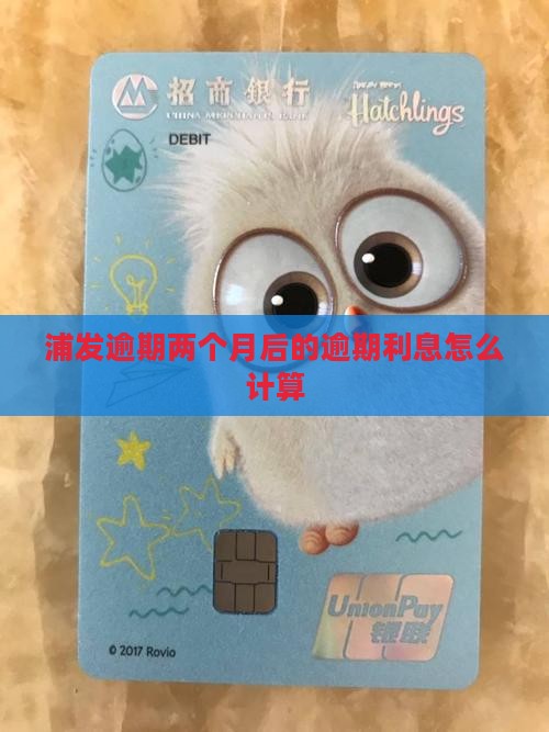 浦发逾期两个月后的逾期利息怎么计算