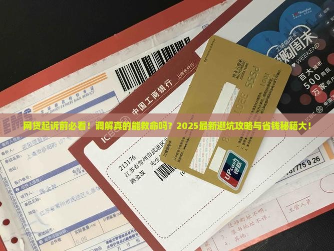 网贷起诉前可以调解吗
