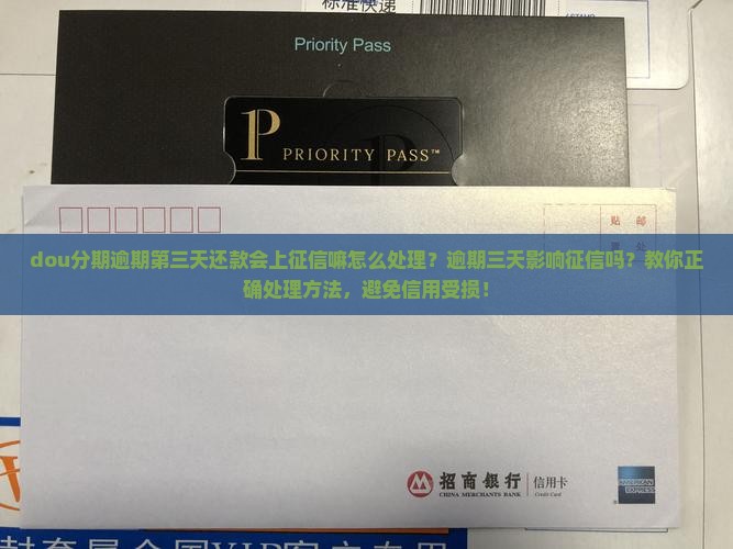 dou分期逾期第三天还款会上征信嘛怎么处理