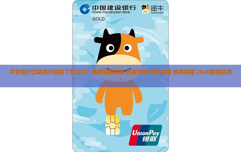 平安银行口袋银行逾期了
