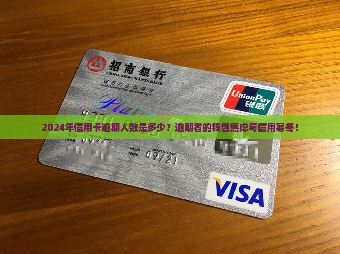 2024年信用卡逾期人数是多少