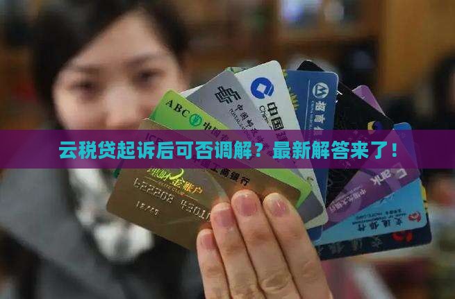 云税贷起诉后可否调解