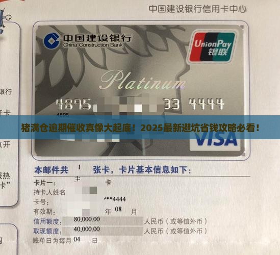 猪满仓逾期催收怎么办