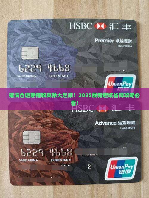 猪满仓逾期催收怎么办