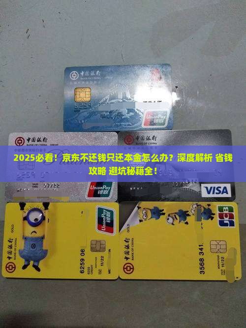 京东不还钱只还本金怎么办