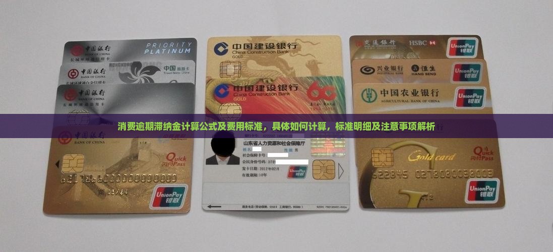 羊小咩消费逾期滞纳金计算公式及费用标准