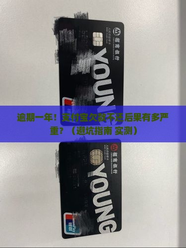 支付宝逾期一年会有哪些后果