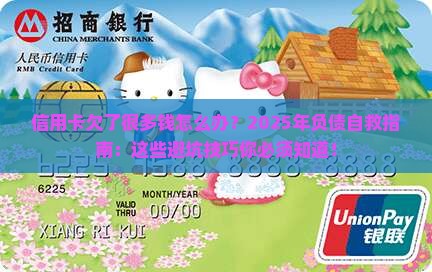 信用卡欠了很多钱怎么办