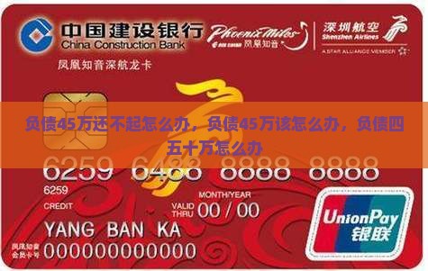 负债45万还不起怎么办