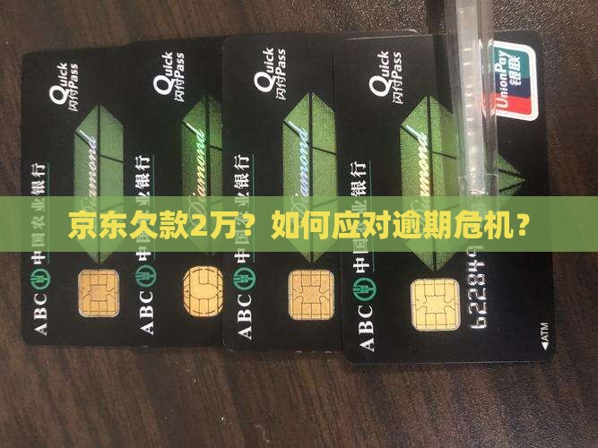 京东白条欠款2万