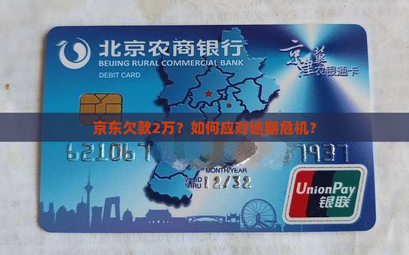 京东白条欠款2万