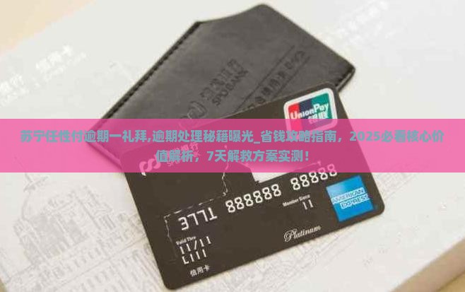 苏宁任性付逾期一礼拜