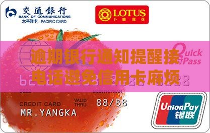 逾期银行通知提醒接电话避免信用卡麻烦