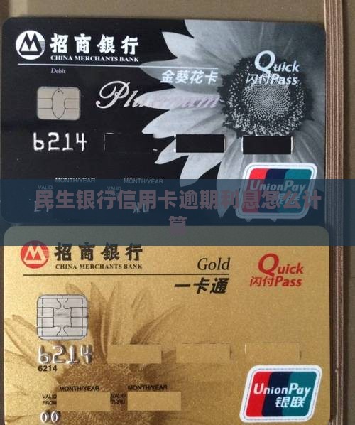 民生银行信用卡逾期利息怎么计算