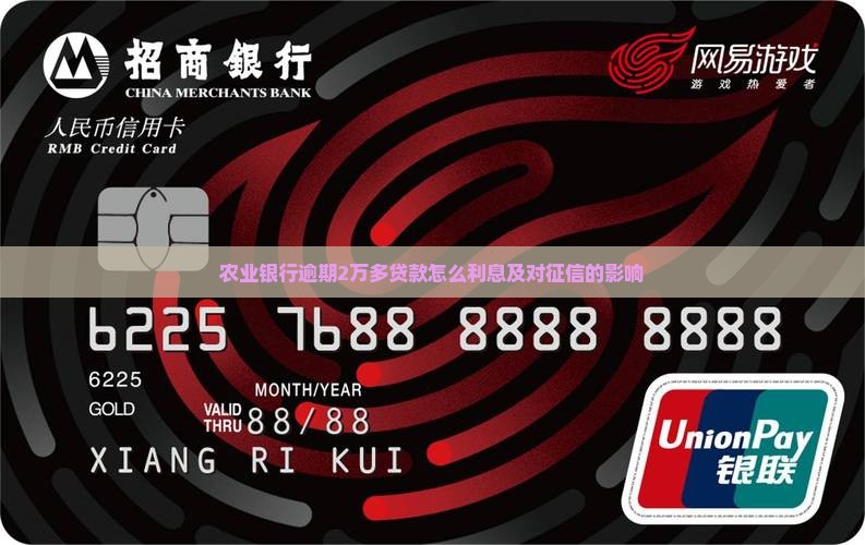 农业银行逾期2万多贷款怎么利息及对征信的影响