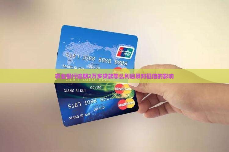 农业银行逾期2万多贷款怎么利息及对征信的影响