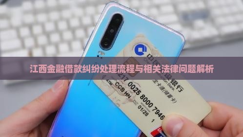 江西金融借款纠纷处理流程与相关法律问题解析
