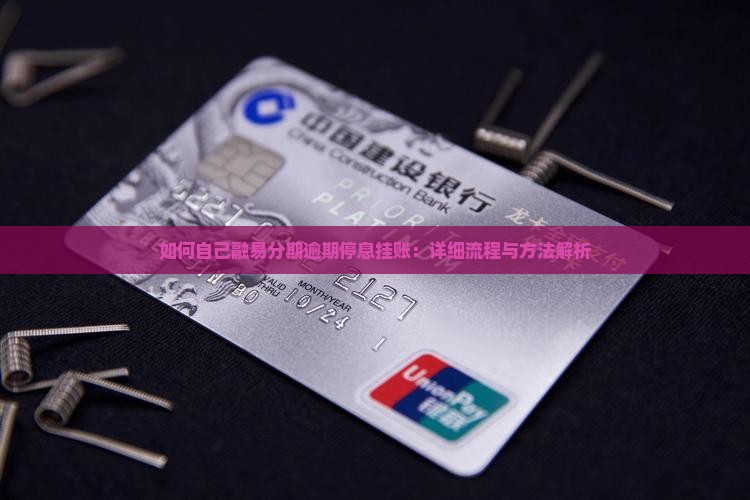如何自己融易分期逾期停息挂账：详细流程与方法解析