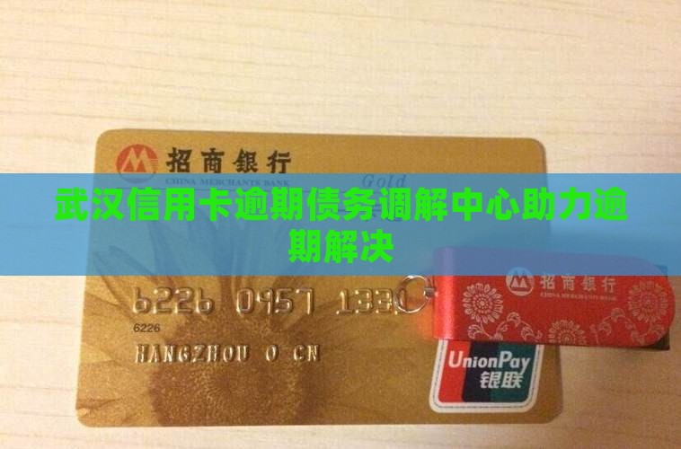 武汉信用卡逾期债务调解中心助力逾期解决