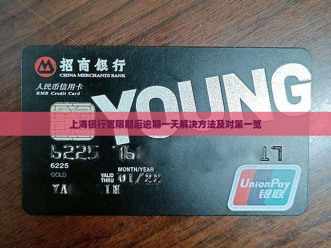 上海银行宽限期后逾期一天解决方法及对策一览
