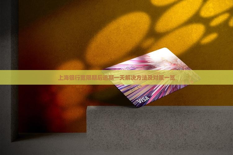 上海银行宽限期后逾期一天解决方法及对策一览