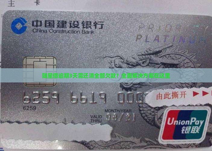 随星借逾期3天需还清全部欠款？全面解决方案在这里