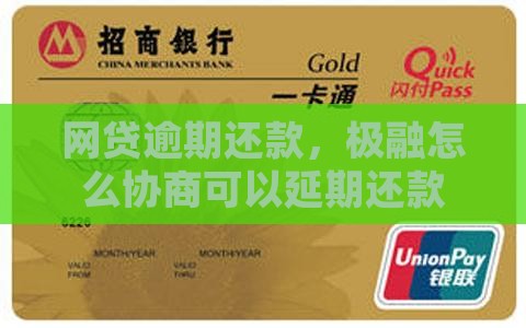 网贷逾期还款，极融怎么协商可以延期还款