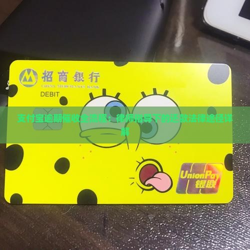 支付宝逾期催收全流程：律师指导下的还款法律途径详解