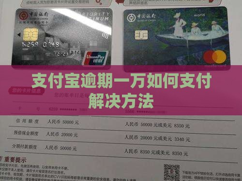 支付宝逾期一万如何支付解决方法