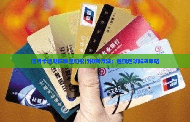信用卡逾期在哪里和银行协商方法：逾期还款解决策略