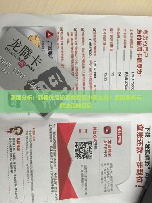 深度分析：新橙优品逾期金额较小怎么办？原因解析与解决策略探究