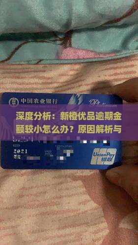 深度分析：新橙优品逾期金额较小怎么办？原因解析与解决策略探究
