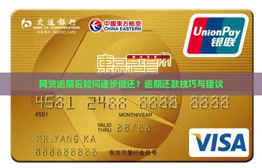 网贷逾期后如何逐步偿还？逾期还款技巧与建议