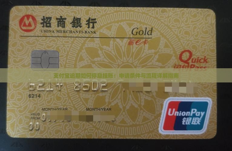 支付宝逾期如何停息挂账：申请条件与流程详解指南