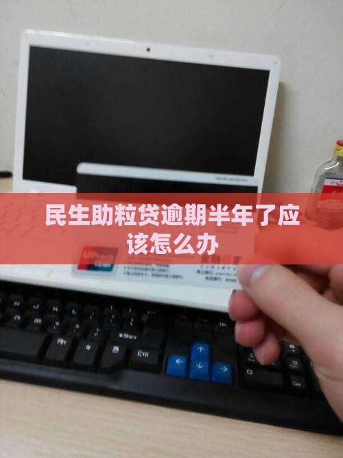 民生助粒贷逾期半年了应该怎么办