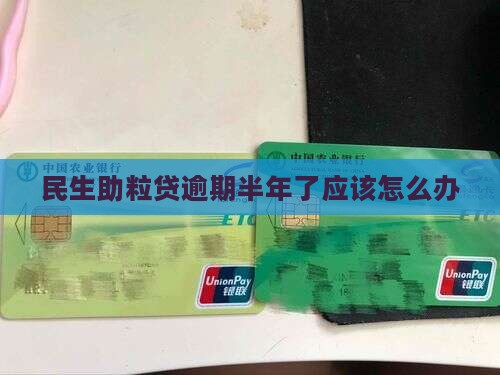 民生助粒贷逾期半年了应该怎么办