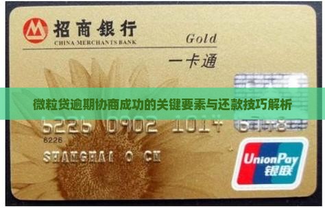 微粒贷逾期协商成功的关键要素与还款技巧解析