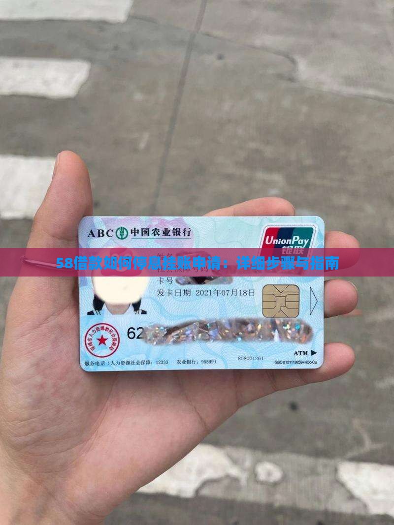 58借款如何停息挂账申请：详细步骤与指南