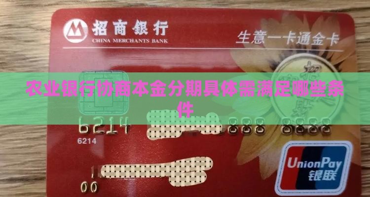 农业银行协商本金分期具体需满足哪些条件