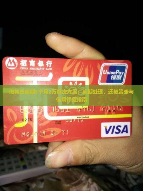 微粒贷逾期5个月2万解决方案：逾期处理、还款策略与信用修复指南
