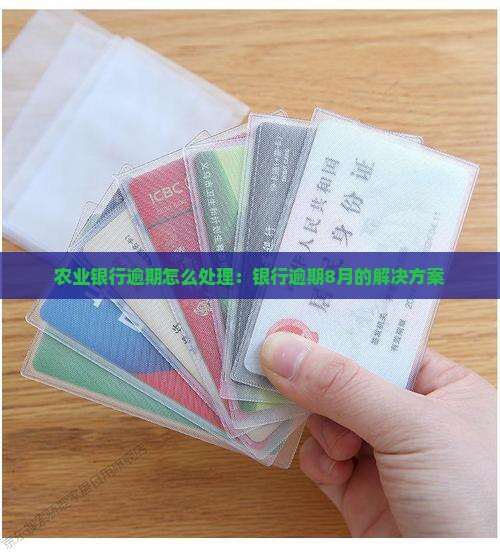 农业银行逾期怎么处理：银行逾期8月的解决方案